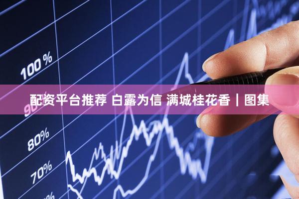 配资平台推荐 白露为信 满城桂花香｜图集